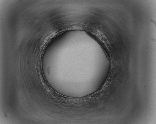 X0000091330001200708311445