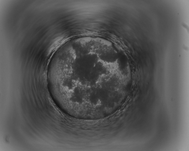 X0000091330002200708311445