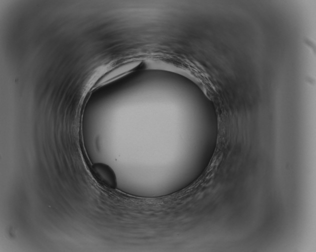 X0000091330003200708311445