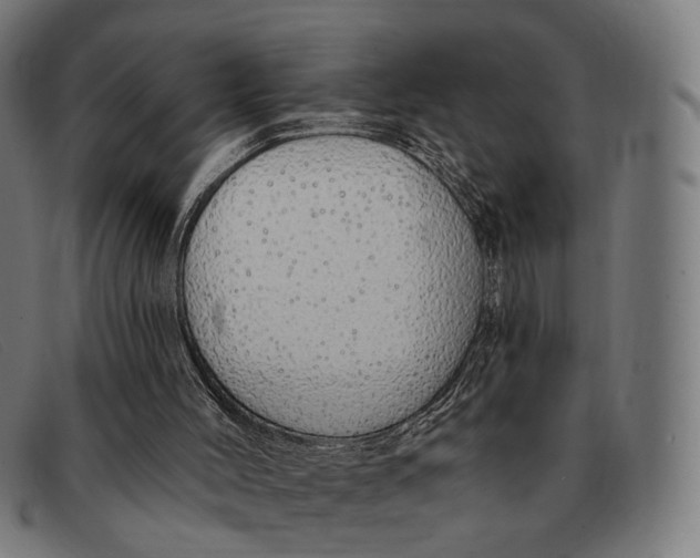 X0000091330004200708311445