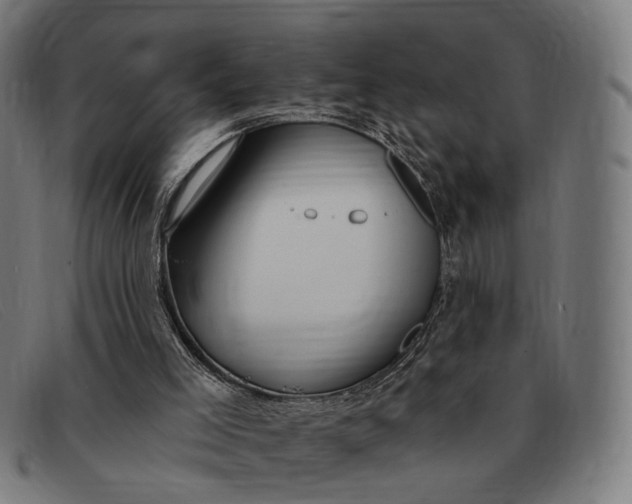X0000091330005200708311445