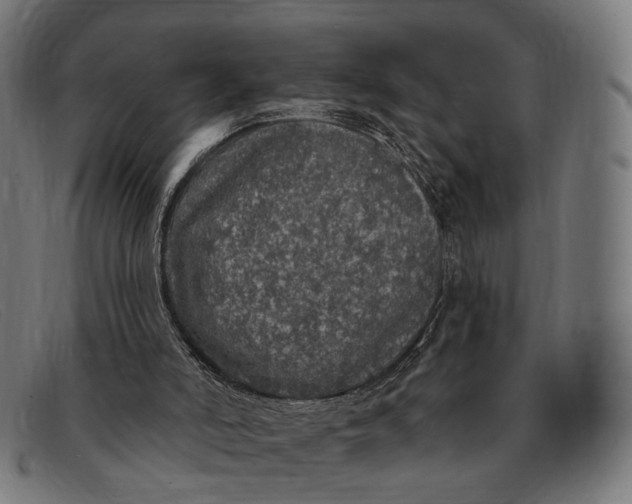 X0000091330006200708311445
