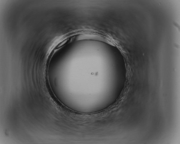 X0000091330007200708311445