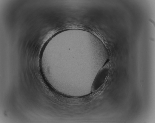 X0000091330008200708311445