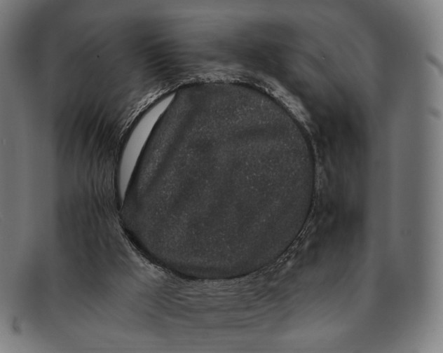 X0000091330009200708311445