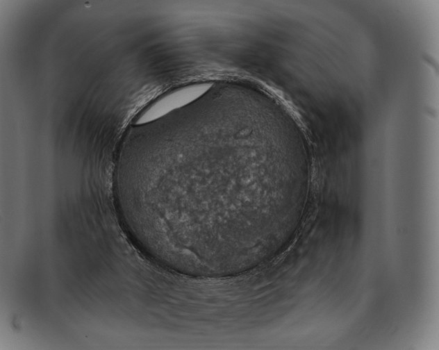 X0000091330010200708311445