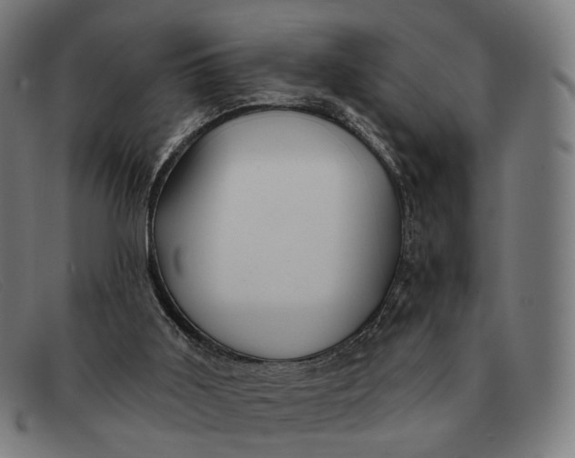 X0000091330011200708311445