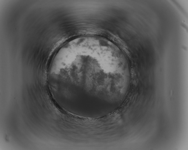 X0000091330012200708311445
