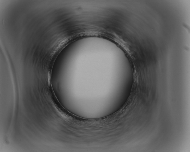 X0000091330013200708311445