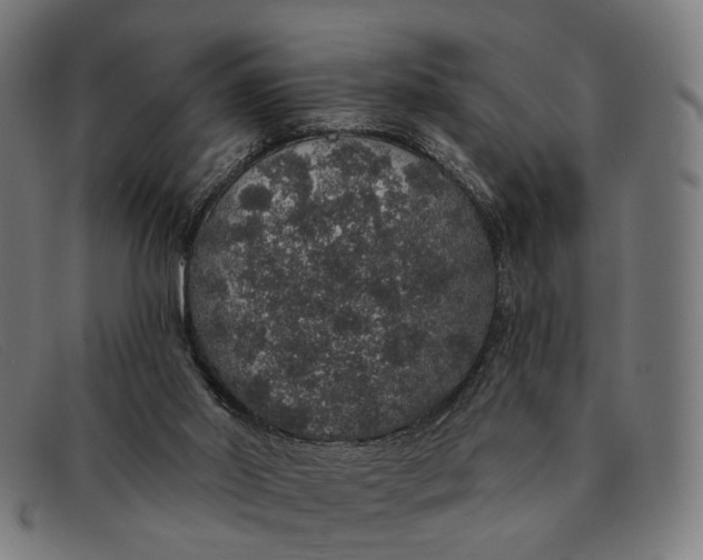 X0000091330014200708311445