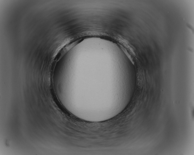 X0000091330015200708311445