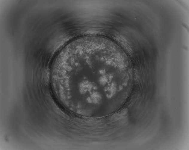 X0000091330016200708311445