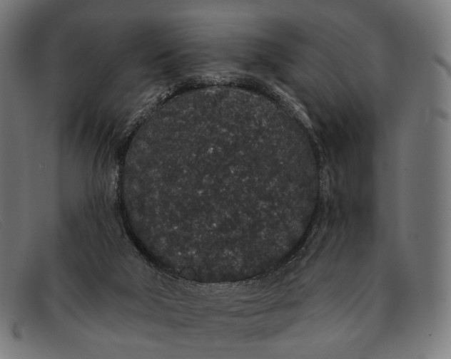 X0000091330018200708311445