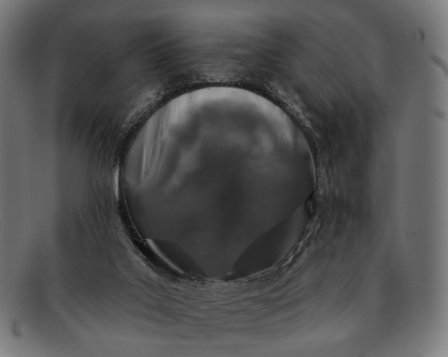 X0000091330019200708311445