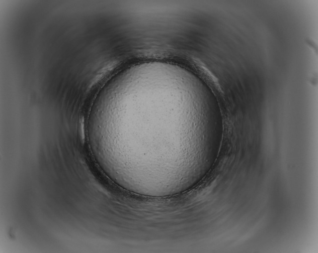 X0000091330020200708311445