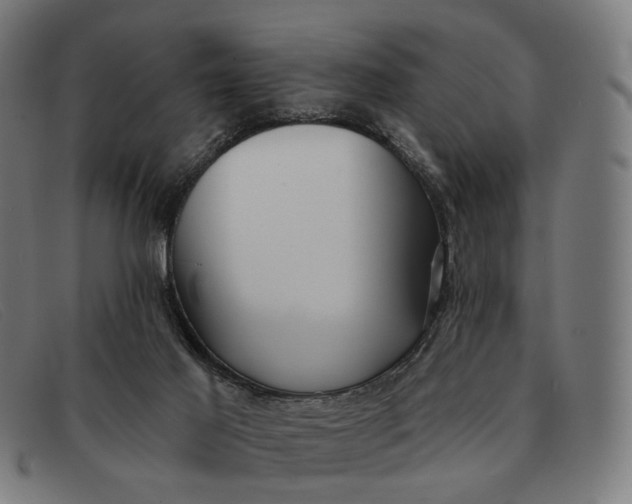 X0000091330021200708311445