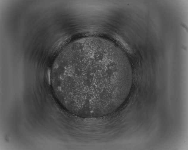 X0000091330022200708311445