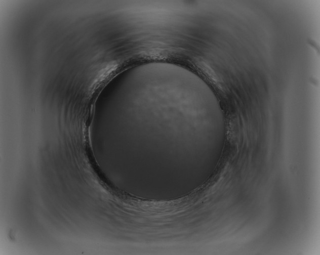 X0000091330023200708311445