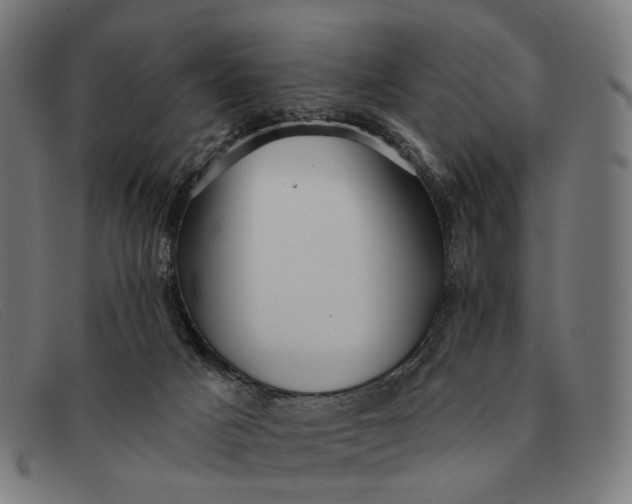X0000091330025200708311445