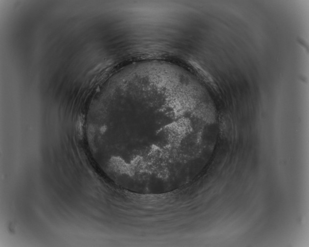X0000091330026200708311445