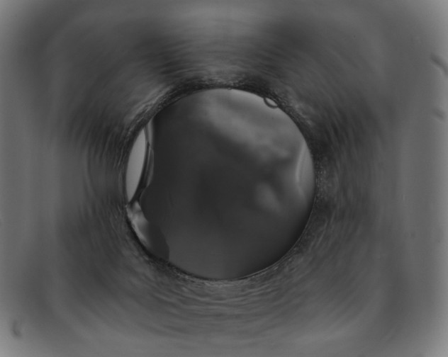 X0000091330027200708311445