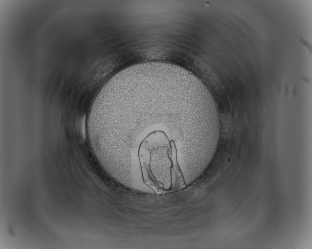 X0000091330028200708311445