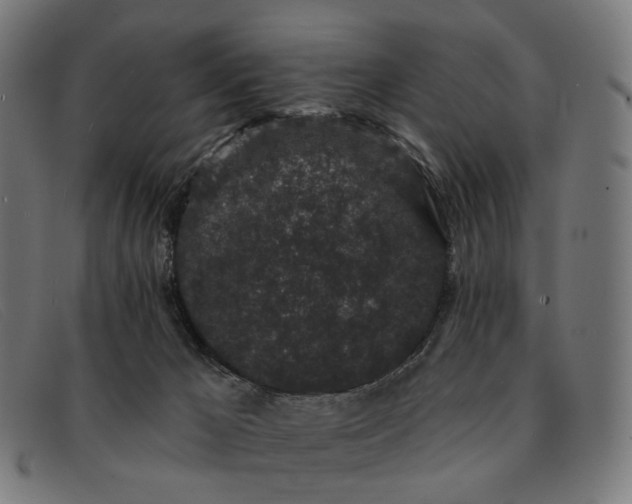 X0000091330029200708311445