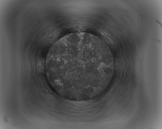 X0000091330030200708311445