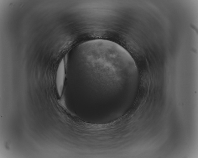X0000091330031200708311445