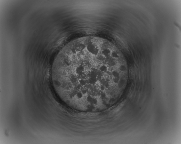 X0000091330032200708311445