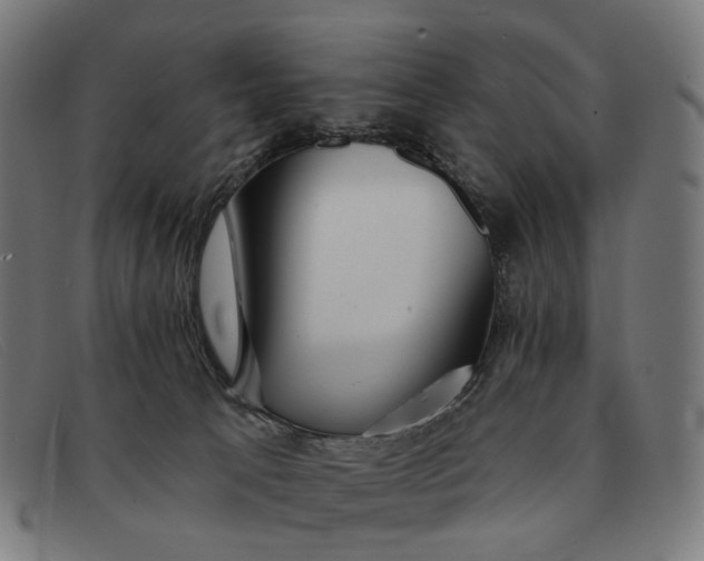 X0000091330033200708311445