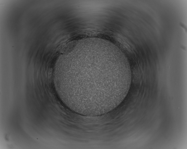 X0000091330034200708311445
