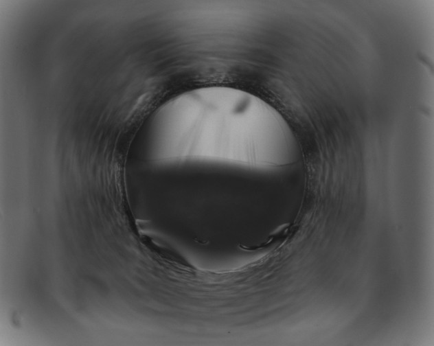 X0000091330035200708311445