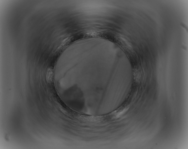 X0000091330036200708311445