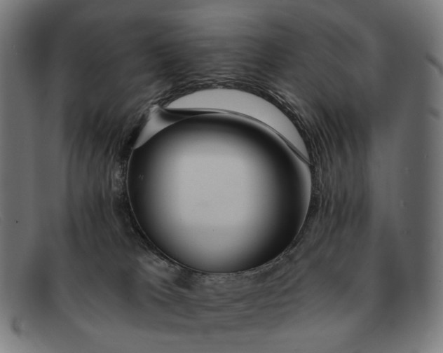 X0000091330037200708311445