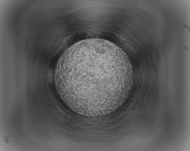 X0000091330038200708311445