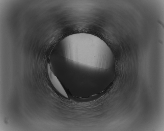X0000091330039200708311445