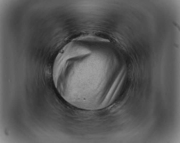 X0000091330040200708311445