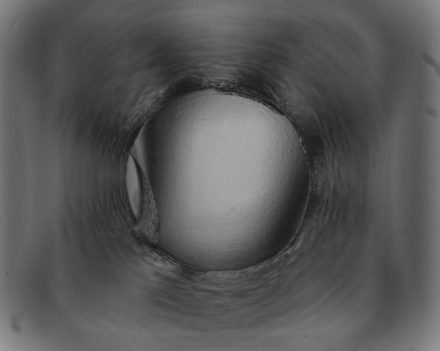X0000091330041200708311445