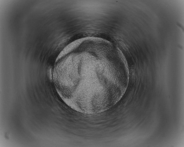 X0000091330042200708311445