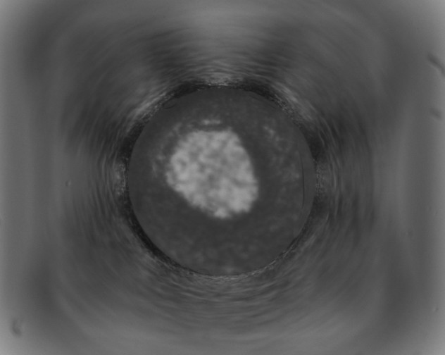 X0000091330043200708311445