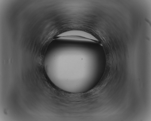 X0000091330044200708311445