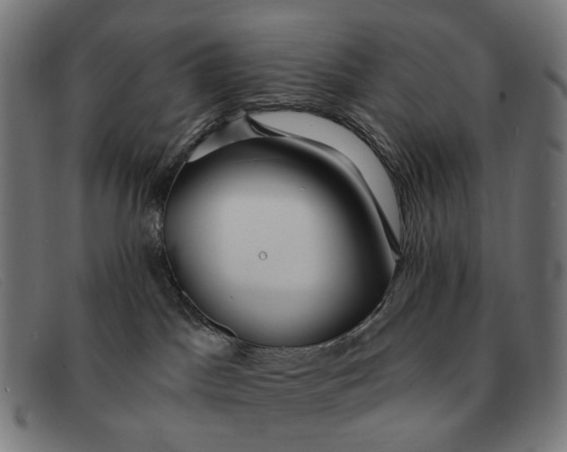 X0000091330045200708311445