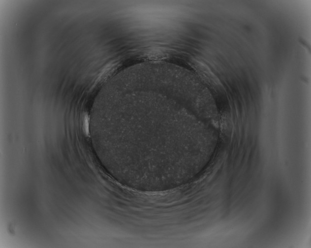 X0000091330046200708311445