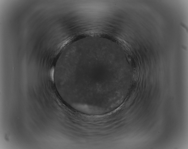 X0000091330047200708311445