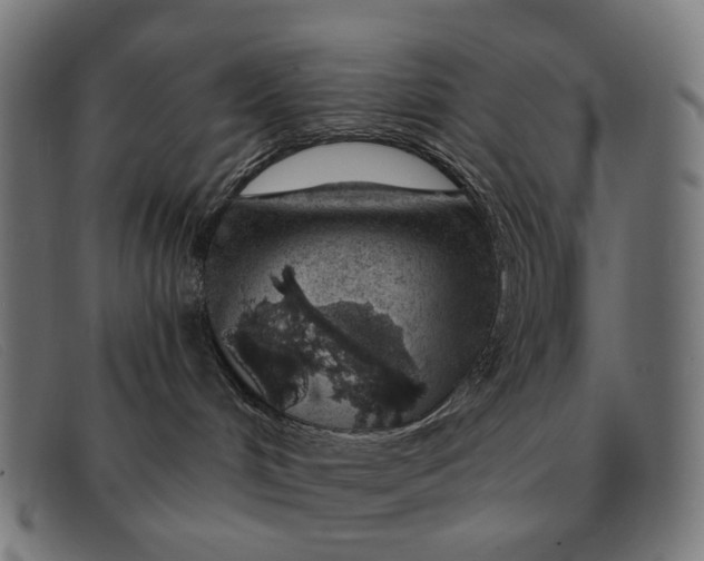 X0000091330048200708311445