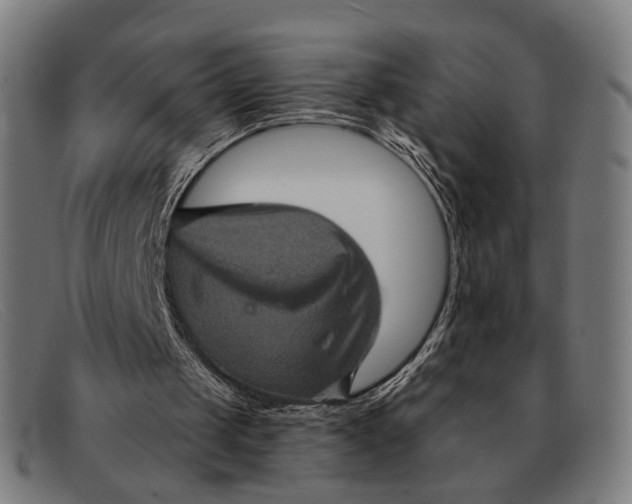 X0000091330049200708311444