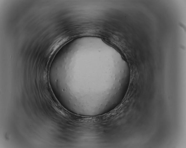 X0000091330050200708311444