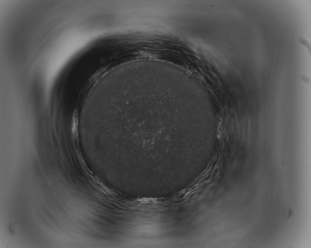 X0000091330052200708311444