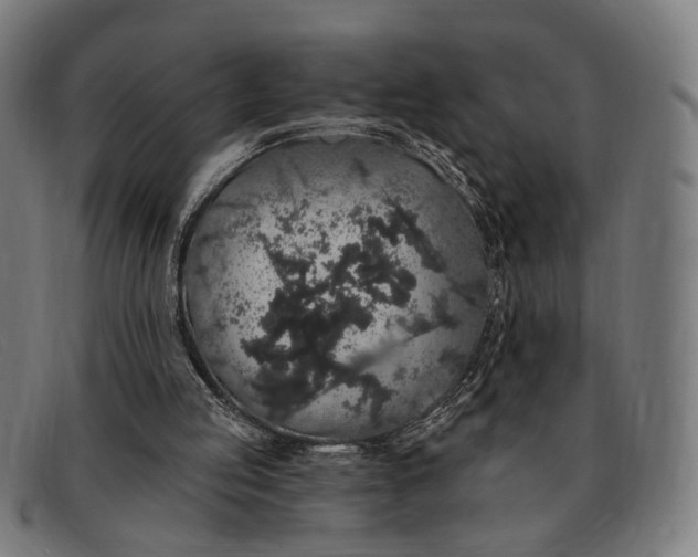 X0000091330053200708311444